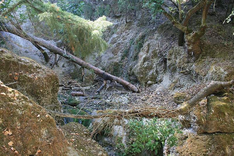 Rodos 2007 282